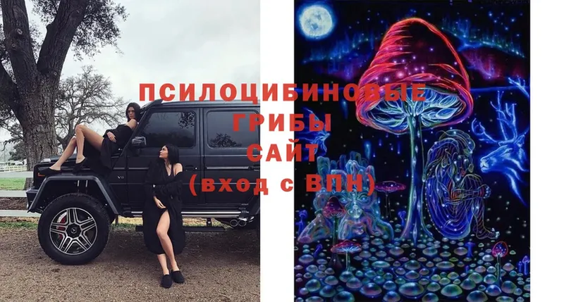 Псилоцибиновые грибы Magic Shrooms  купить закладку  Бирюсинск 